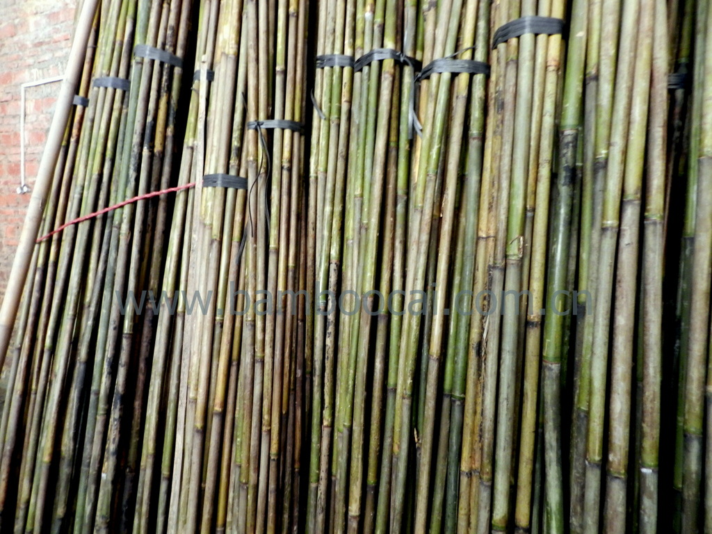 农用厘竹 40支庄一捆   上一个 下一个> 举报 怀集厘竹主要特点自然直