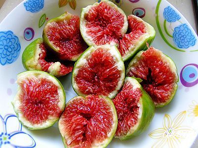 果树:无花果苗-砂糖无花果树苗-大苗-多汁, 味极甜地栽盆栽都可