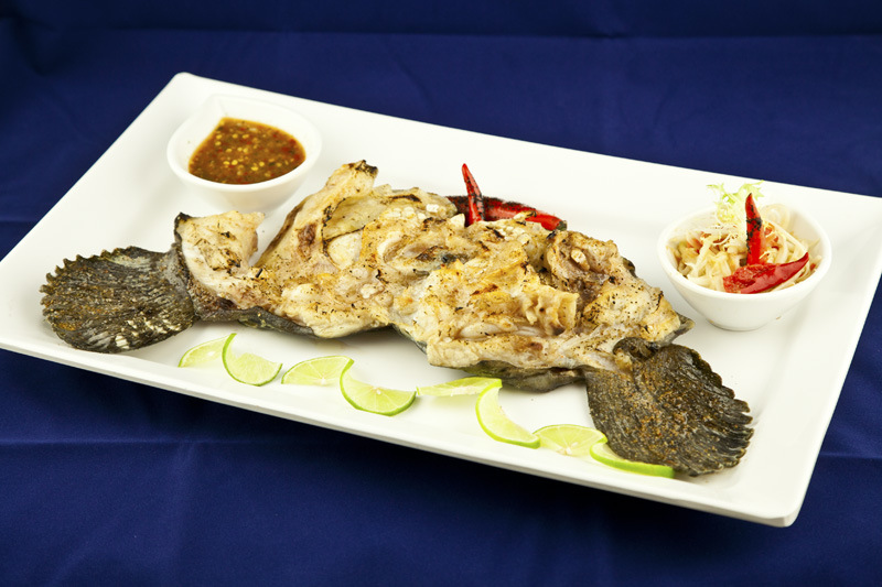 冰岛深海系列 -- 冰岛狼鱼头/龙王鱼头