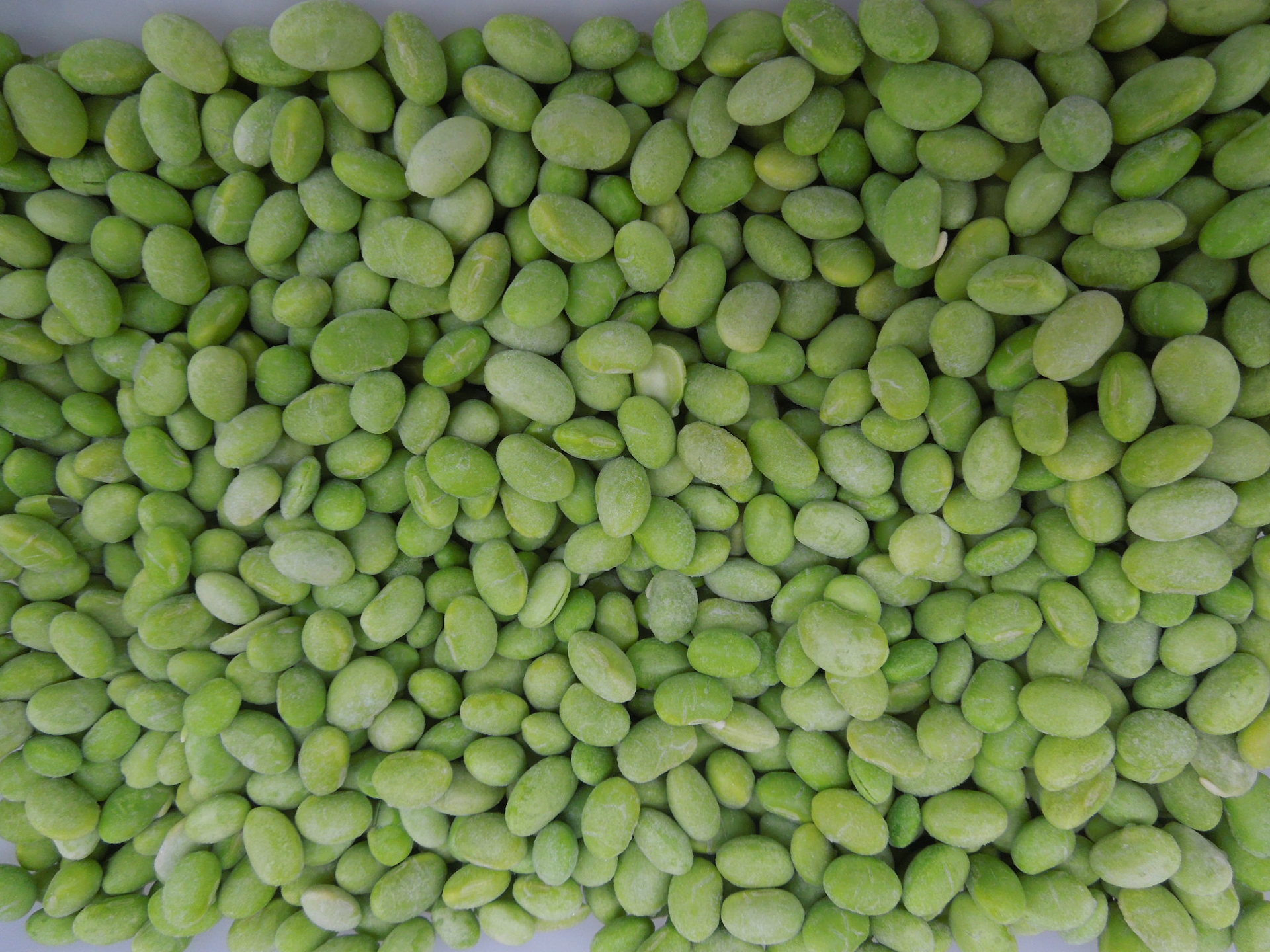 厂家批发供应 冷冻蔬菜出口 速冻毛豆仁 正品 内销一吨起批