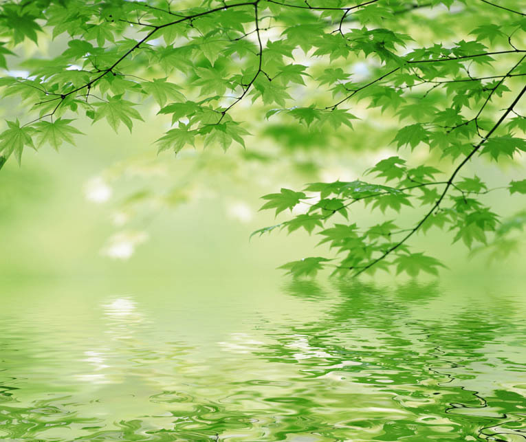 个性壁画厂家供应 室内个性壁画 自然风景画面