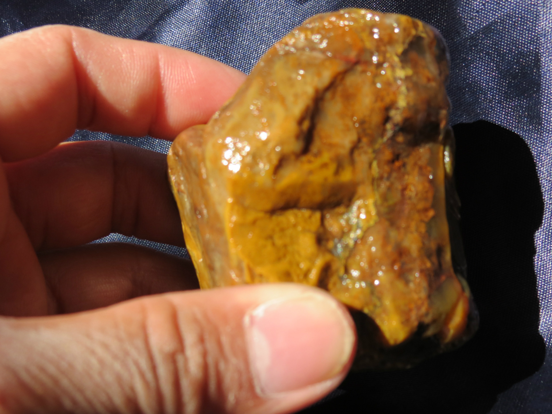 掘性都成坑石 寿星图片_5