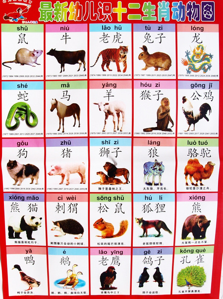 宝宝早教挂图婴幼儿童认知挂图/平面挂图启蒙批发0-3岁塑料