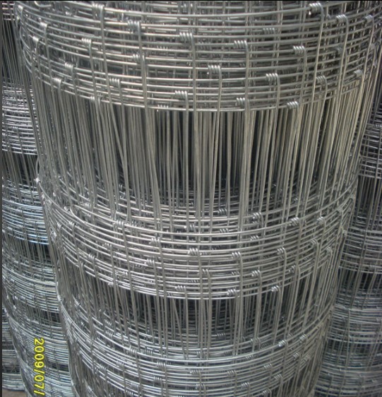 安平正特草原网|围栏网|养殖网|牛栏网厂家供应