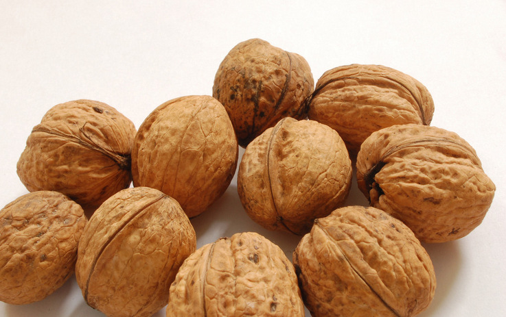 重量:10kg 保质期:&nbsp;一年 毛重:&nbsp; 配料:&nbsp;生核桃 产地:&