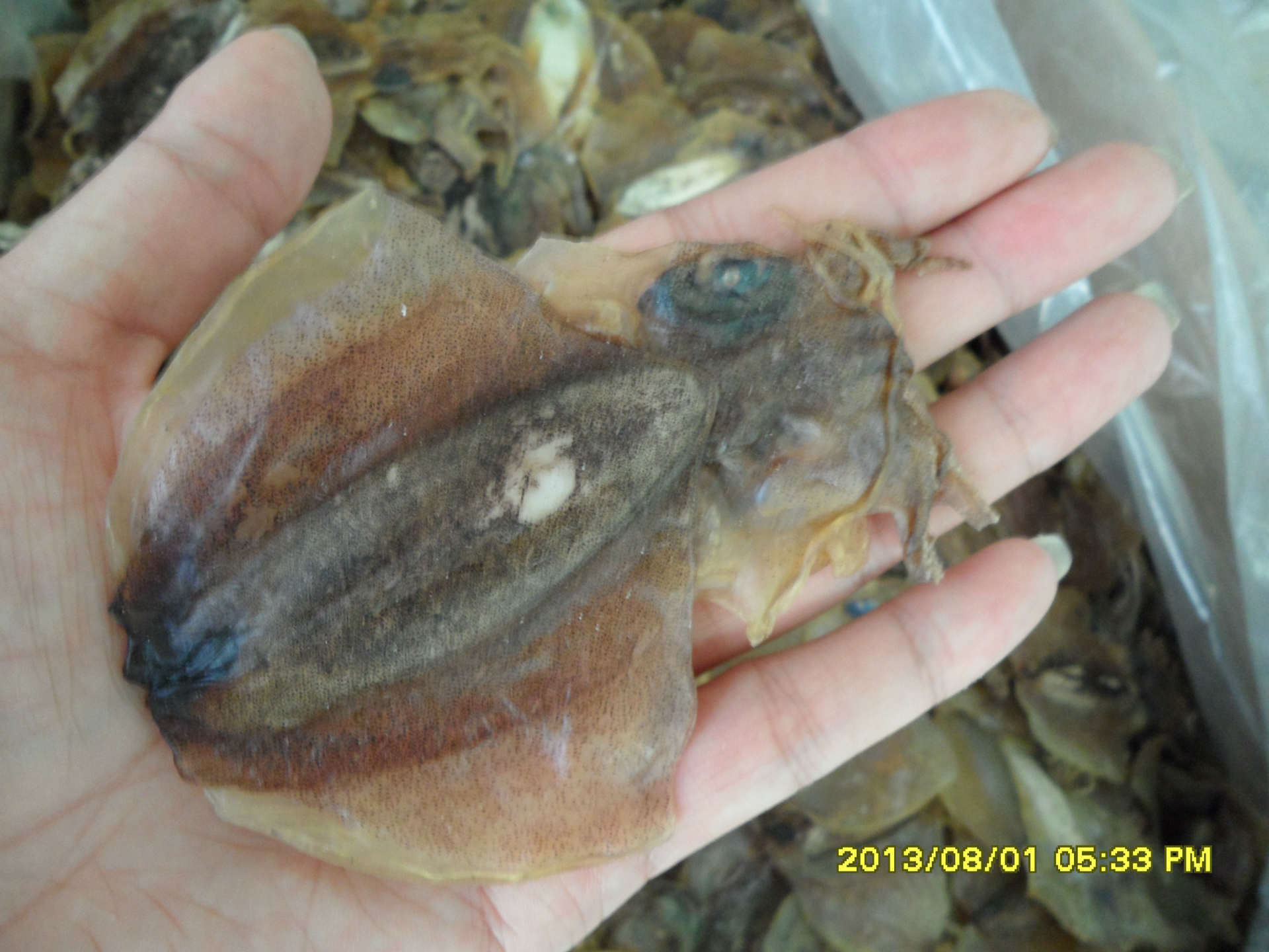 【供应小目鱼】价格,厂家,图片,干制水产品,厦门市