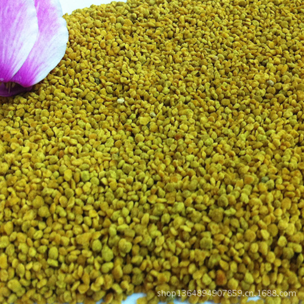 专业花粉供应商 玉米花粉 降压效果好 散装蜂花粉 蜂产品批发