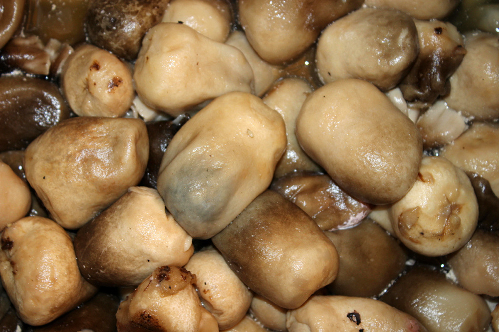 酒店用草菇 肉质脆嫩 兰花菇 一口香 草菇批发 餐馆菜肴用料 包邮