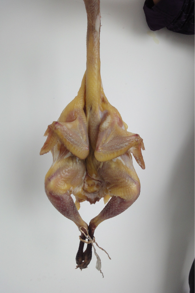 优质直销 南通特产 风味绿色食品 如东狼山鸡风鸡 1kg礼盒装