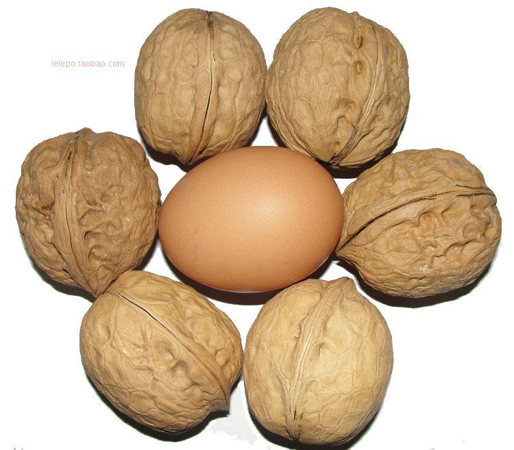 供应【集发地】新疆 核桃王|新疆巨无霸核桃