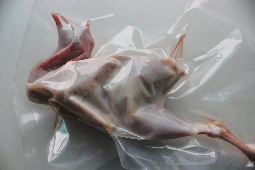 天津华野生态六两以上鹧鸪(活体)