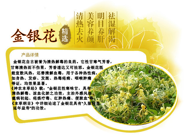 排毒养颜参地饮颗粒凉茶