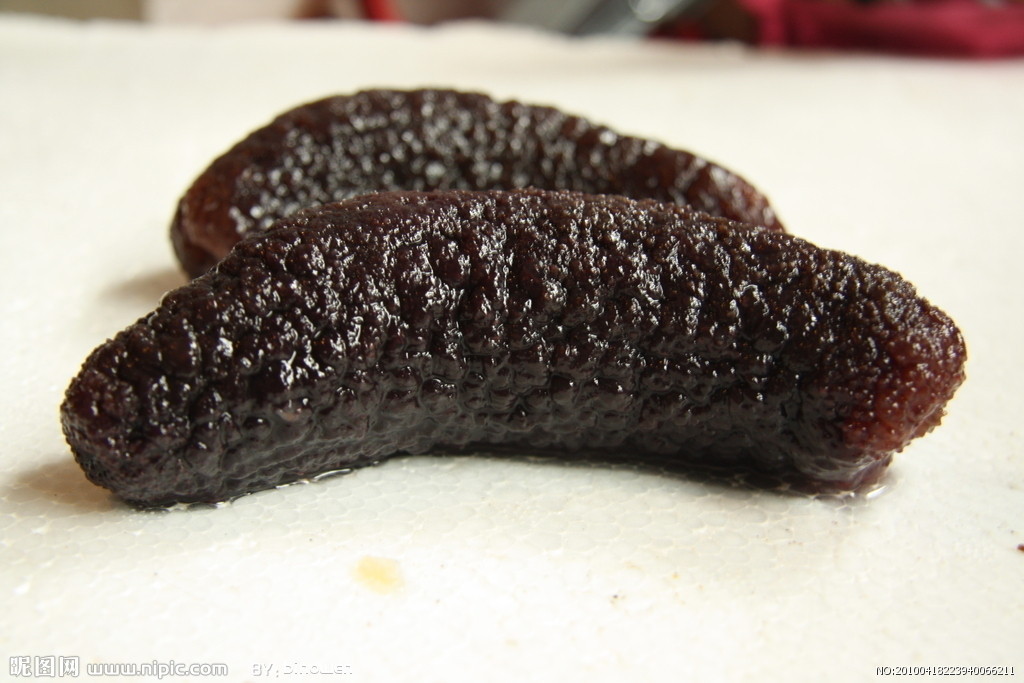 厂价批发供应水发海参 送礼馈赠佳品 霞浦海参批发