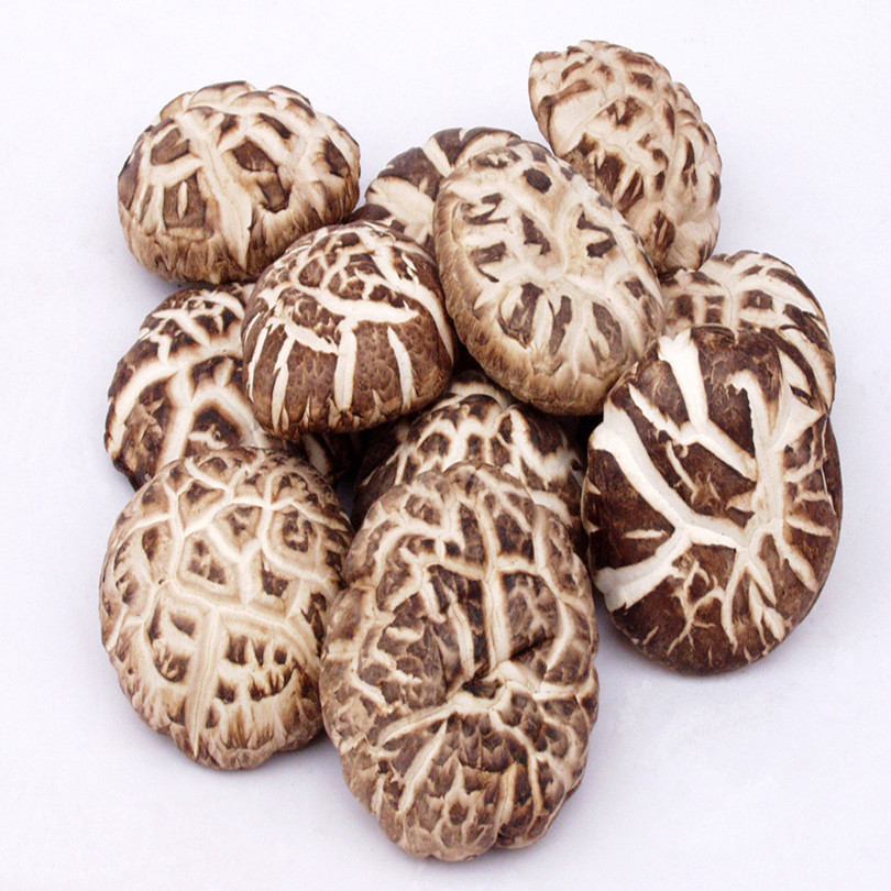 产地直销干货特产 野生椴木花菇香菇 特级冬菇 食用菌 福建古田