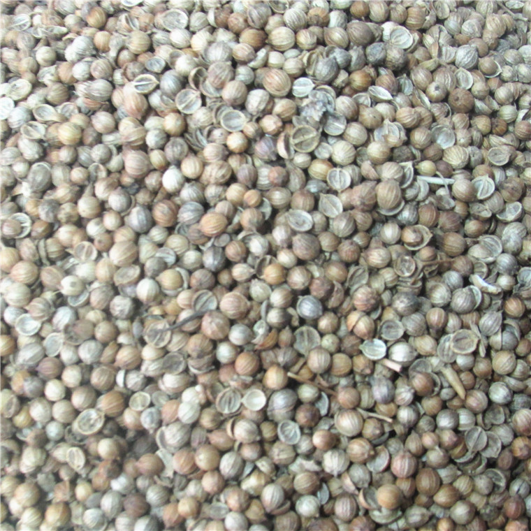 厂价直销 优质原粒出口级[香菜籽] / 芫茜籽 / 芫荽籽 250g/包