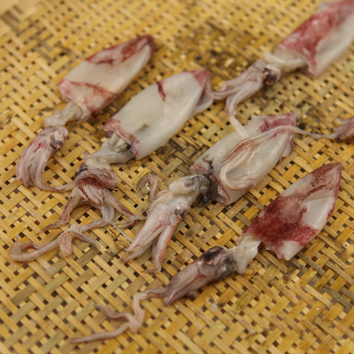 东海野生小鱿鱼 新鲜鱿鱼 鱿鱼仔 松门小网海鲜