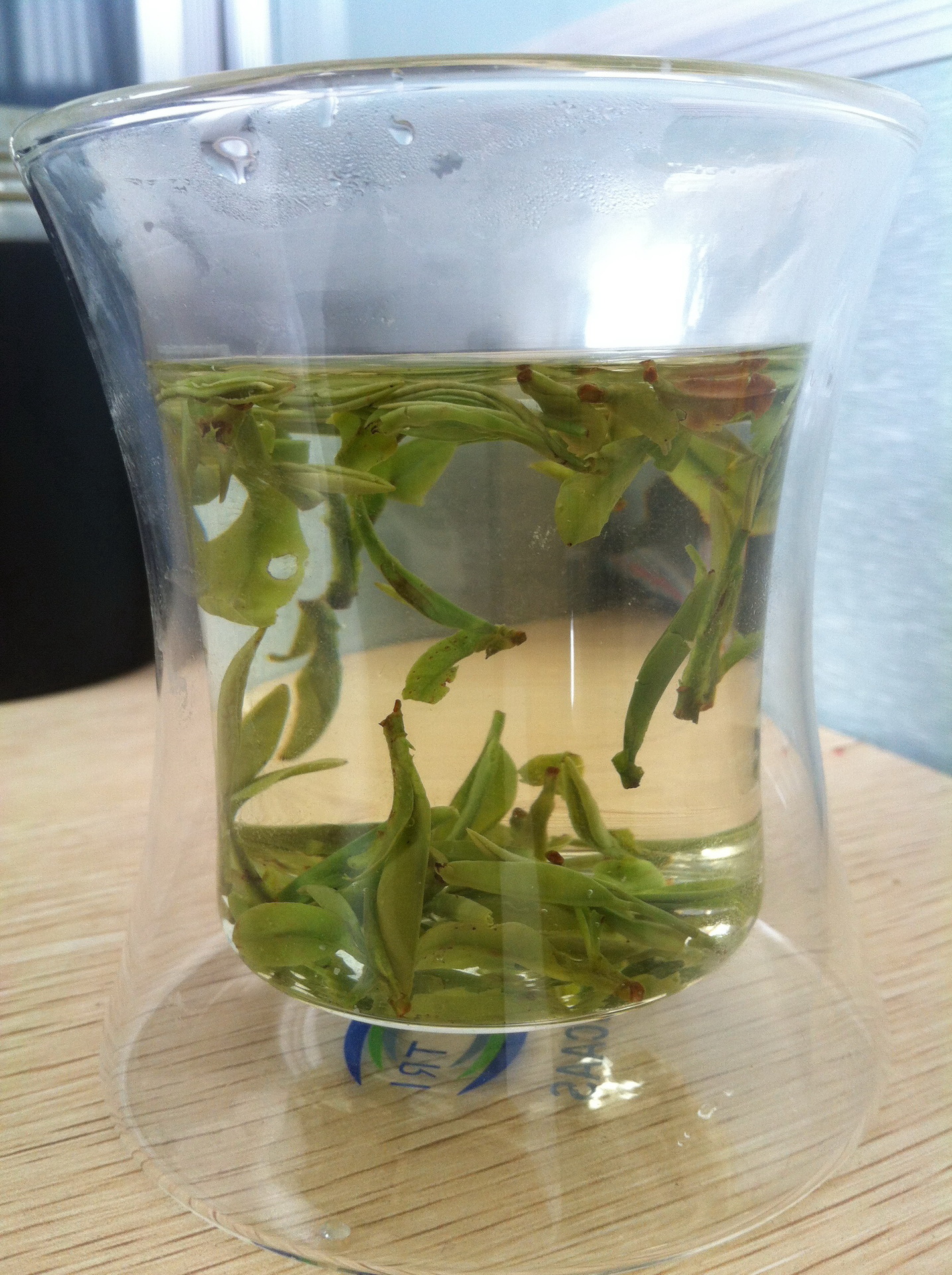 新昌龙井茶图片