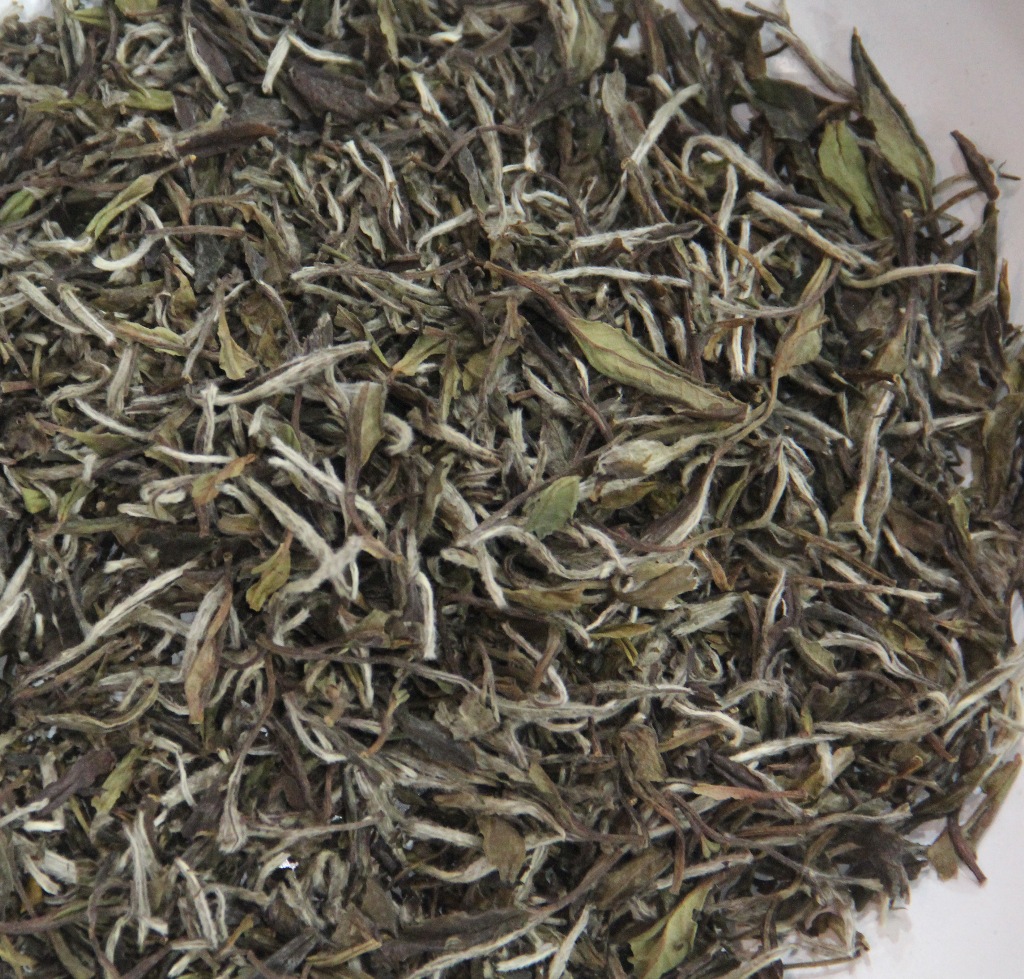 白茶 白牡丹 福安 散茶 批发
