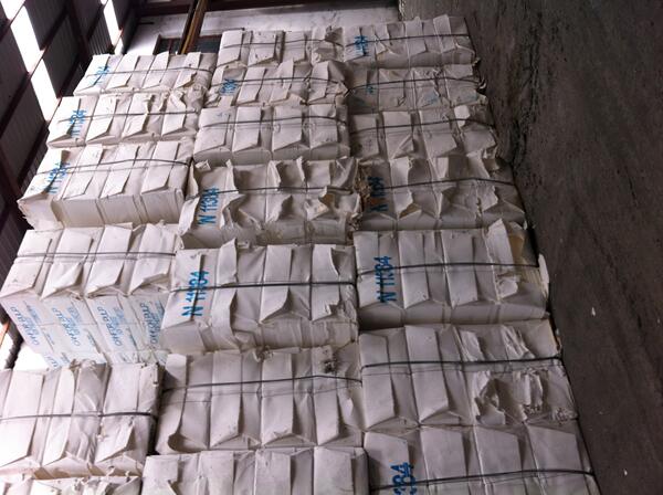 俄罗斯乌针漂白针叶