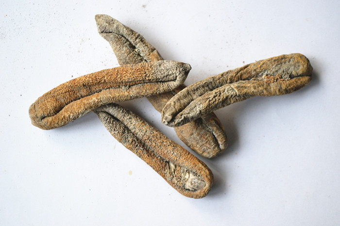 批发茄参(淡干无泥巴茄参)_酒店专用海茄参质量超好.