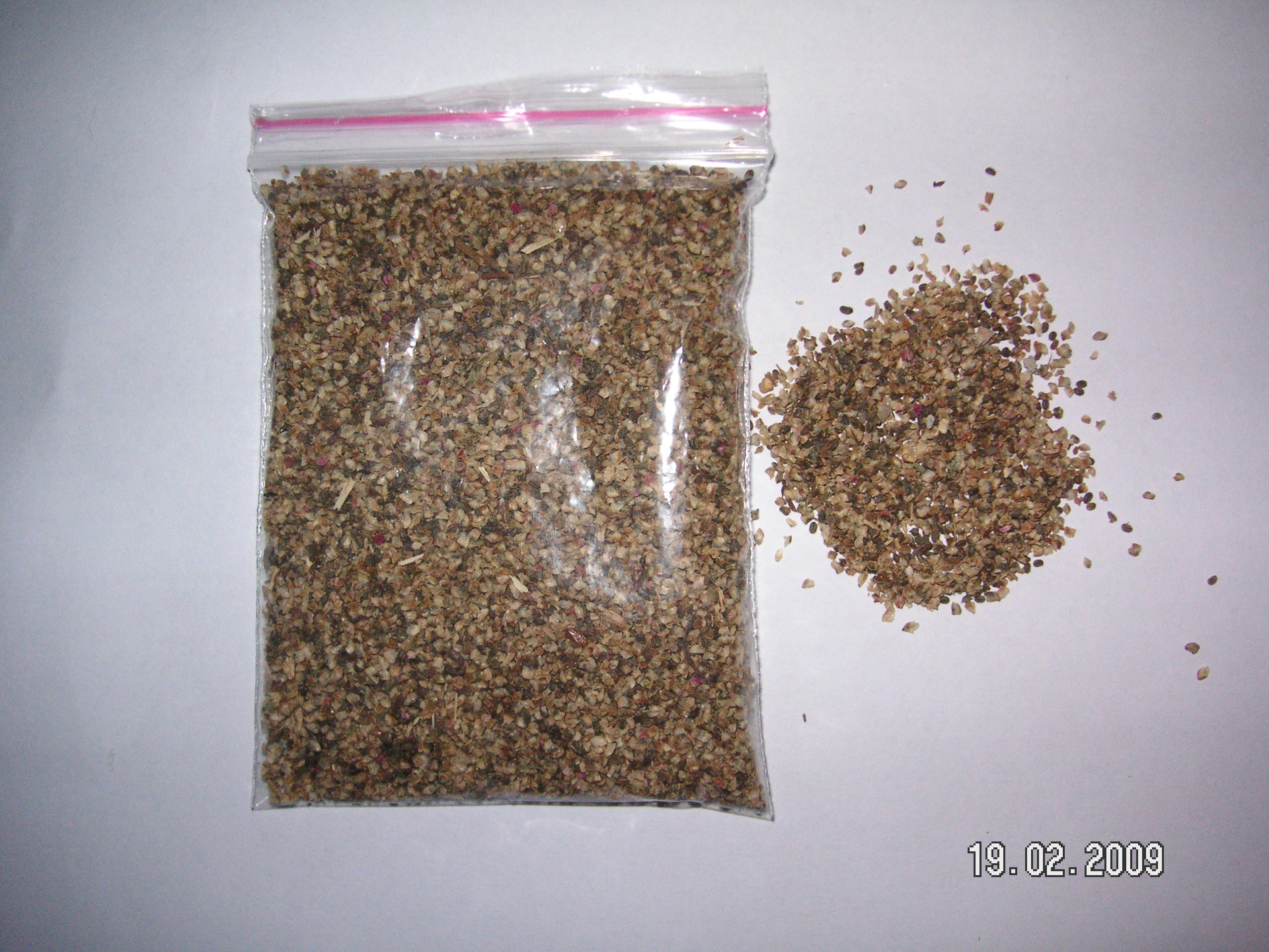 采购虫草,海蓬子