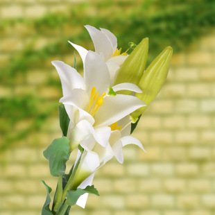 深圳仿真花批發 仿真植物批發 仿真pu百合花 bh001-3-7