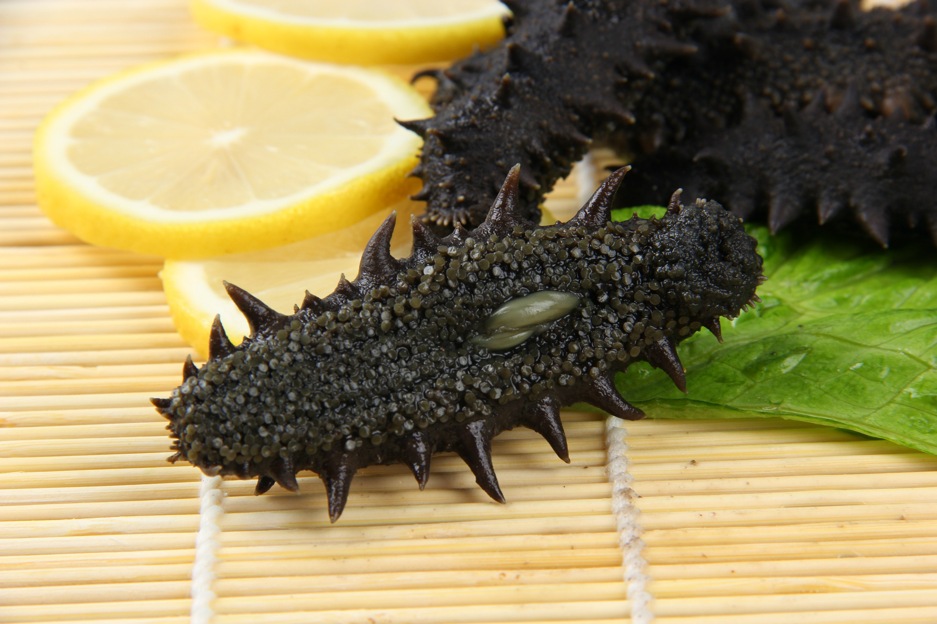 半干海参 纯野生干海参 大连纯淡干海参 淡干海参辽参 滋补佳品