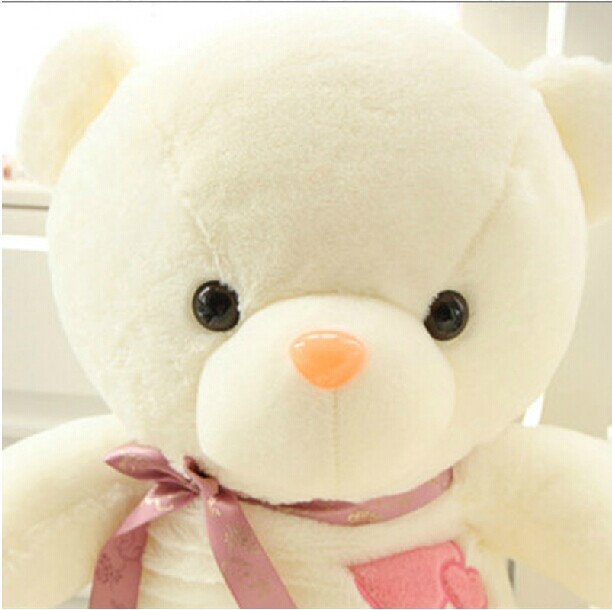 江苏扬州厂家直销可爱心心相应爱心情侣泰迪熊毛绒公仔玩偶抱抱熊玩具