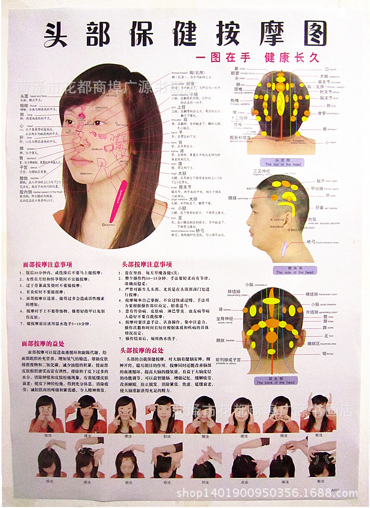 山东菏泽[厂家直销]侧面人体刮痧保健挂图批发穴位经络疗法刮痧挂图