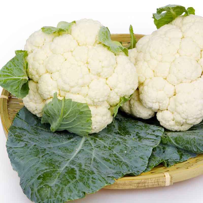 批发冷冻白花菜 厂家现货供应 量大优惠 诚招代理 代发冷冻白花菜
