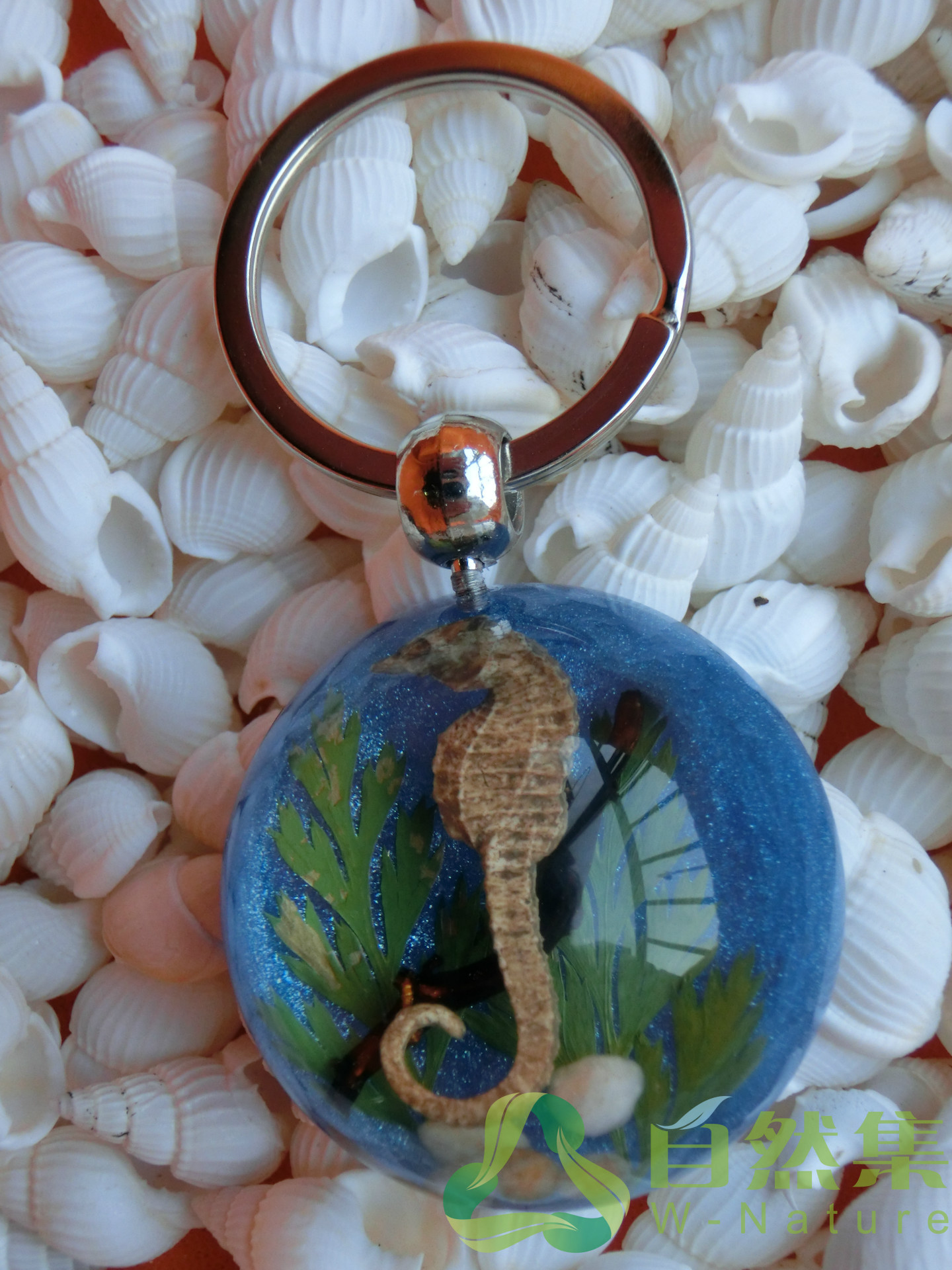 海洋海马水晶滴胶琥珀半圆钥匙扣旅游纪念品礼品工艺品个性定制