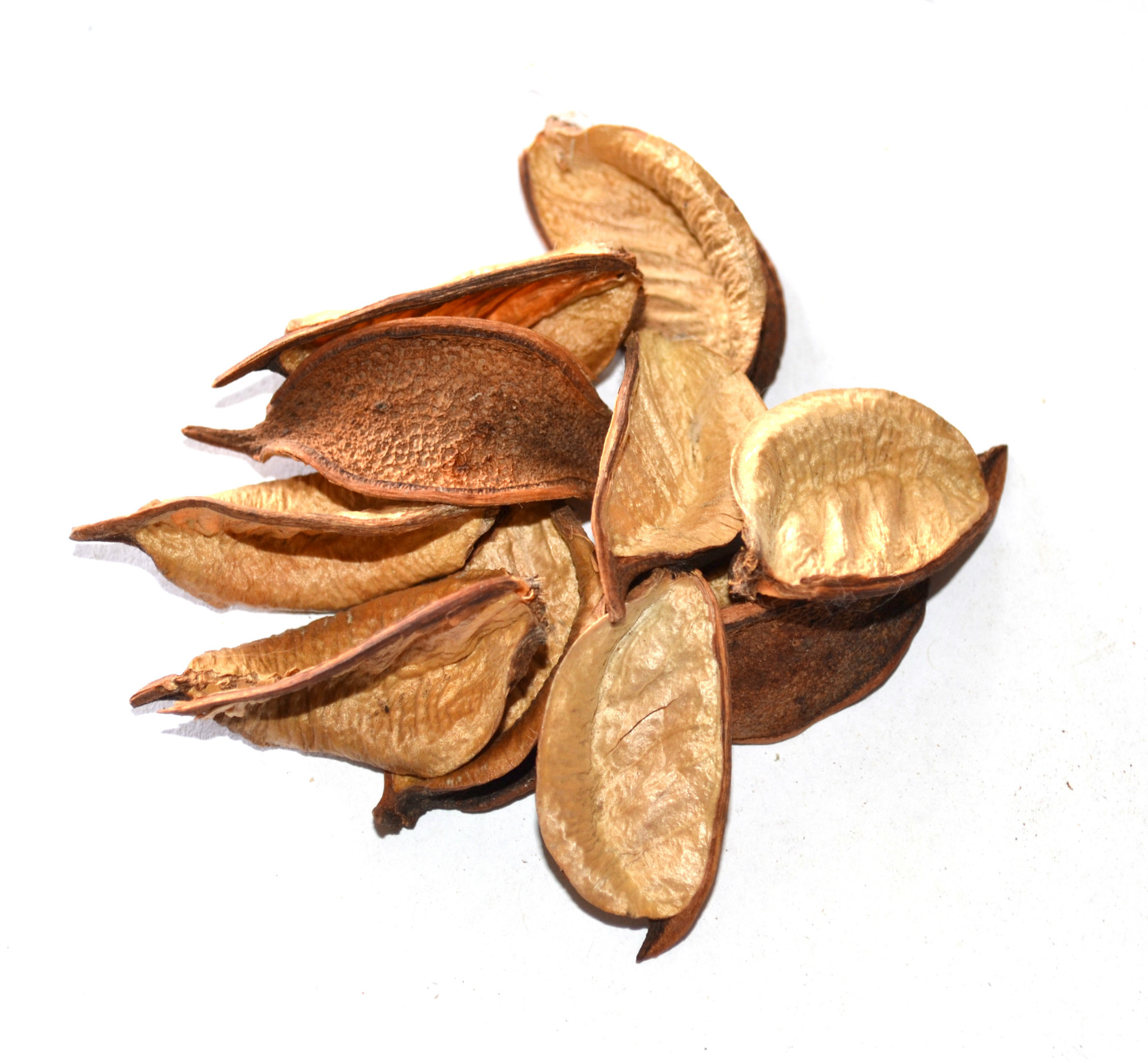 【供应】厂家热销各类棉花壳 天然花材半成品 高品质制作 价优