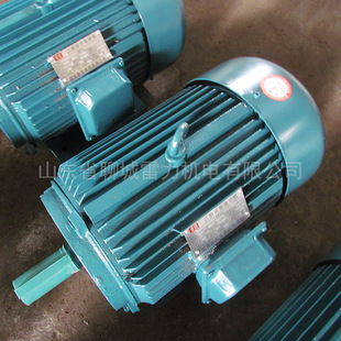 临清雷力电机厂 y112m-2三相异步电动机 【精品推荐】