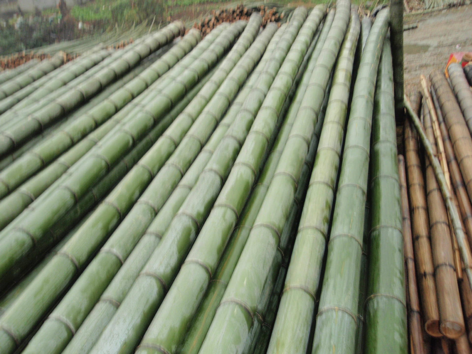 原材料   长期供应绿色无污染的毛竹,竹片等产品