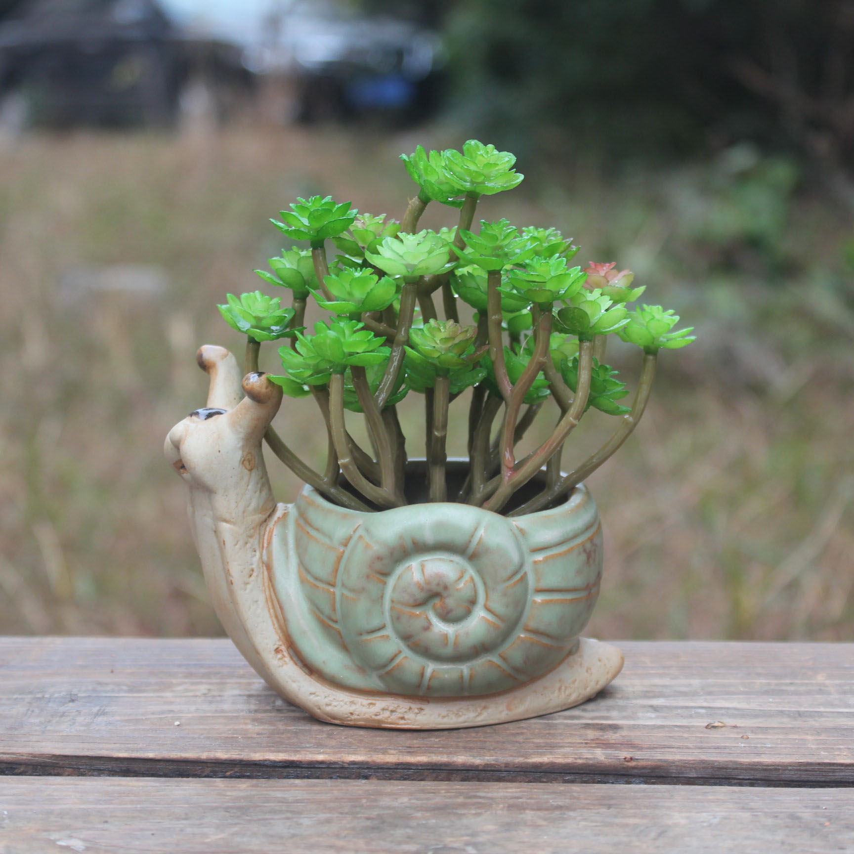 新款创意陶瓷工艺品12409多肉植物花盆果盘蝴蝶花盆特色水培花盆