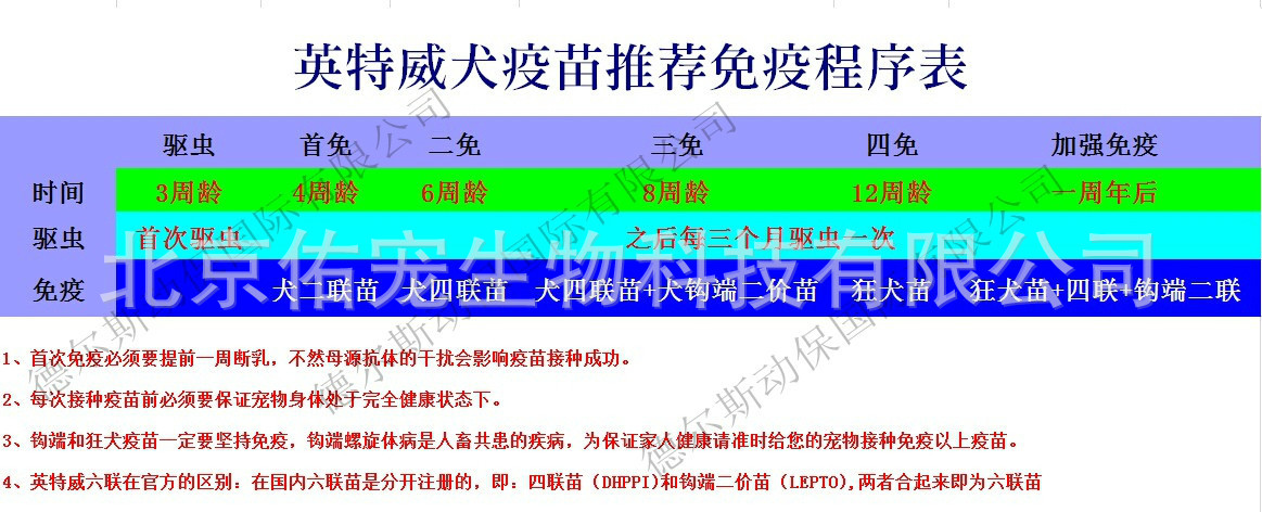 宠必威优免康犬四联活疫苗英特威1头份组宠物疫苗英特威