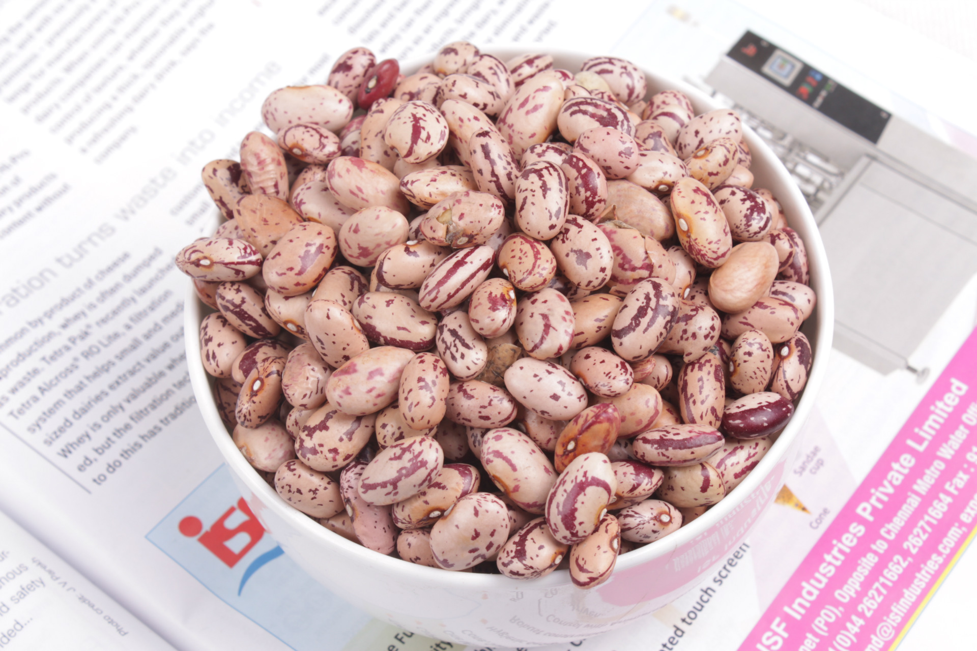 奶花芸豆_高品质朝鲜进口粒型160-180pcs/100g柱形奶花芸豆