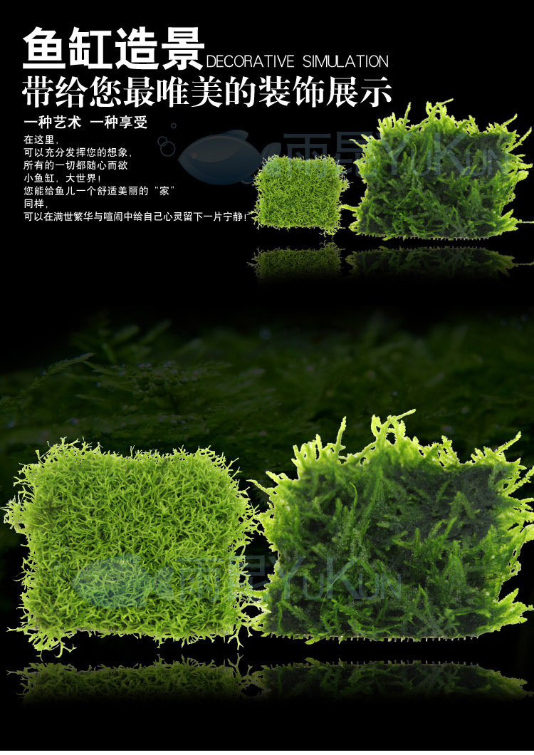 水族鱼缸水草造景 大三角莫丝 鹿角苔 附生类造景水草 活体moss草