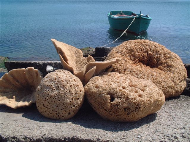 希腊天然海绵_天然海绵_希腊天然海绵批发 - 阿里巴巴