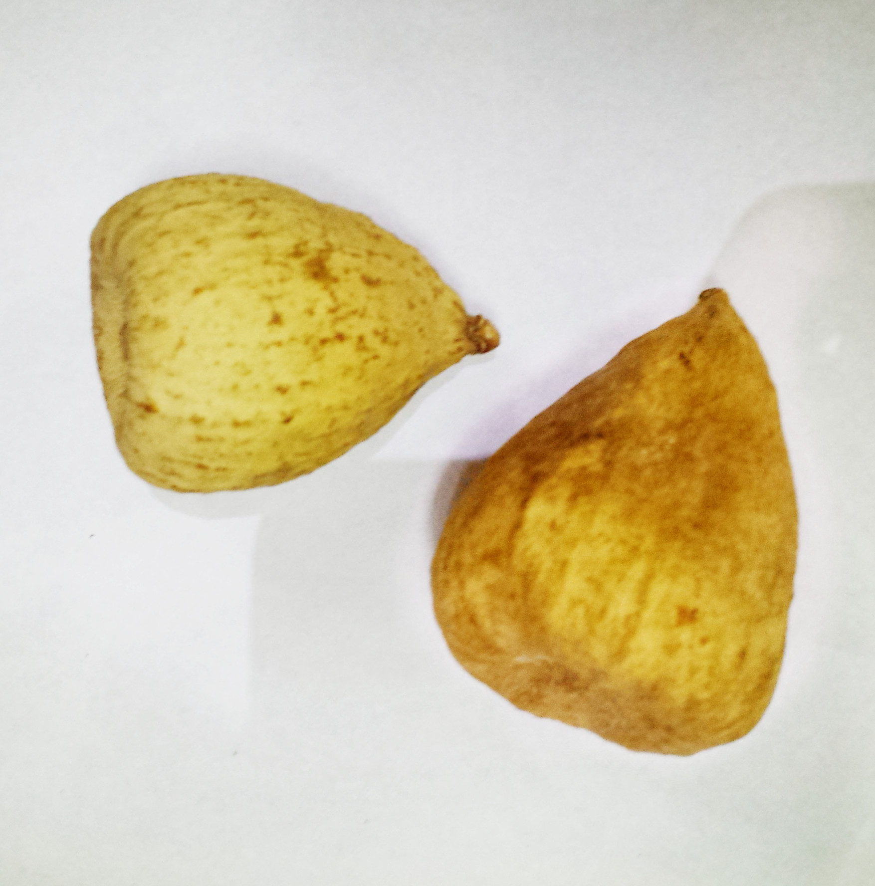 段氏鸿翔批发奶母果 用于解毒 消肿补肾固精中药批发植物原药材