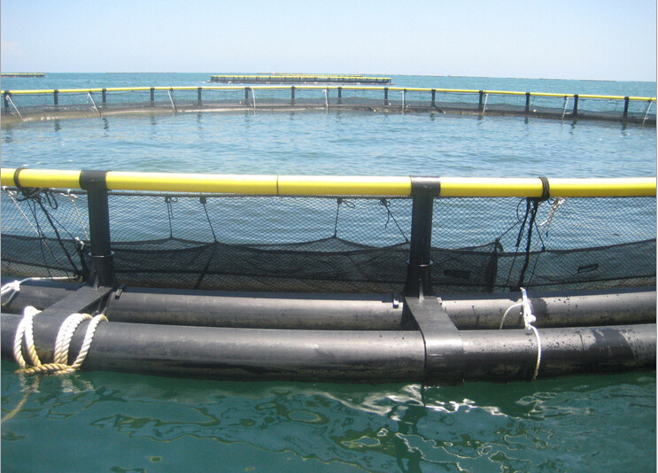 pe网箱 深海养鱼设备 鱼箱配件 网箱配件图片_13