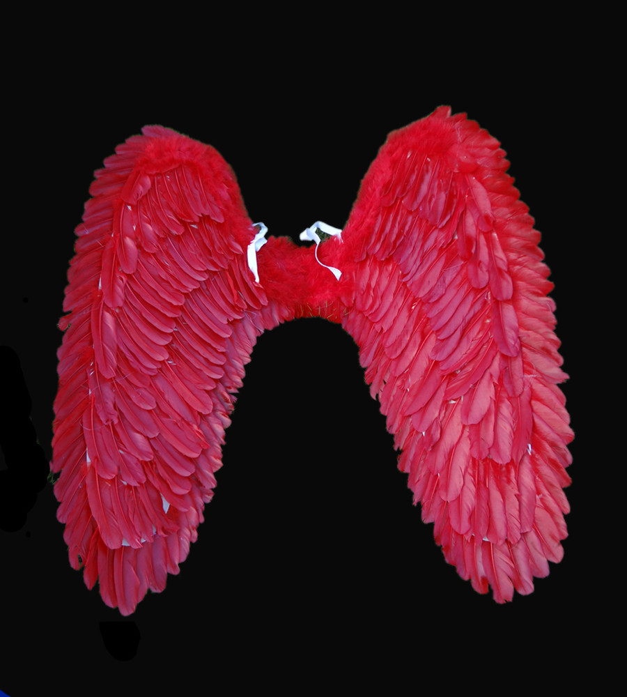 厂家直销*羽毛翅膀*派对表演道具,婚庆装饰,天使羽毛翅膀大号