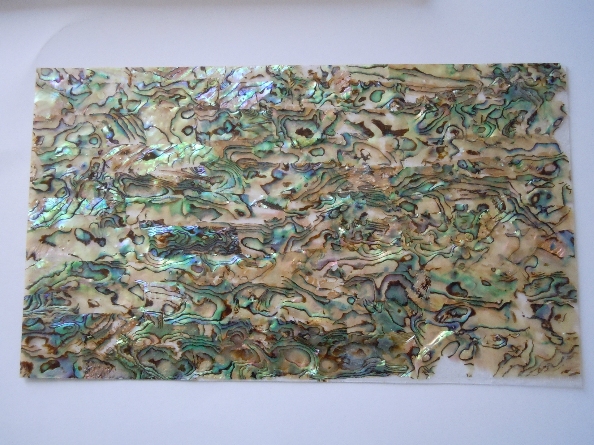 天然贝壳纸 新西兰鲍鱼贝 贝壳纸 aa a