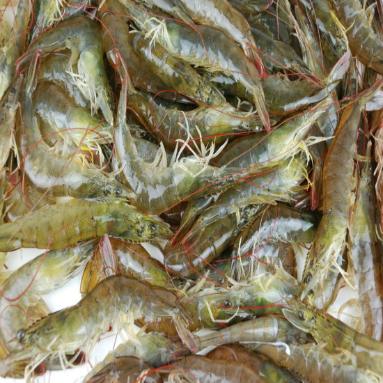 东食 深海野生大对虾