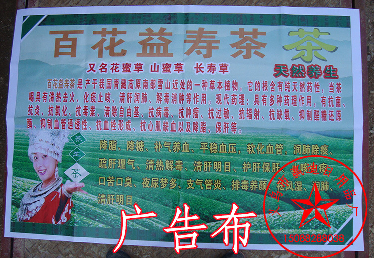 百花益寿茶 百花草益寿茶 长寿草 山密草批发 厂家直销 益寿草