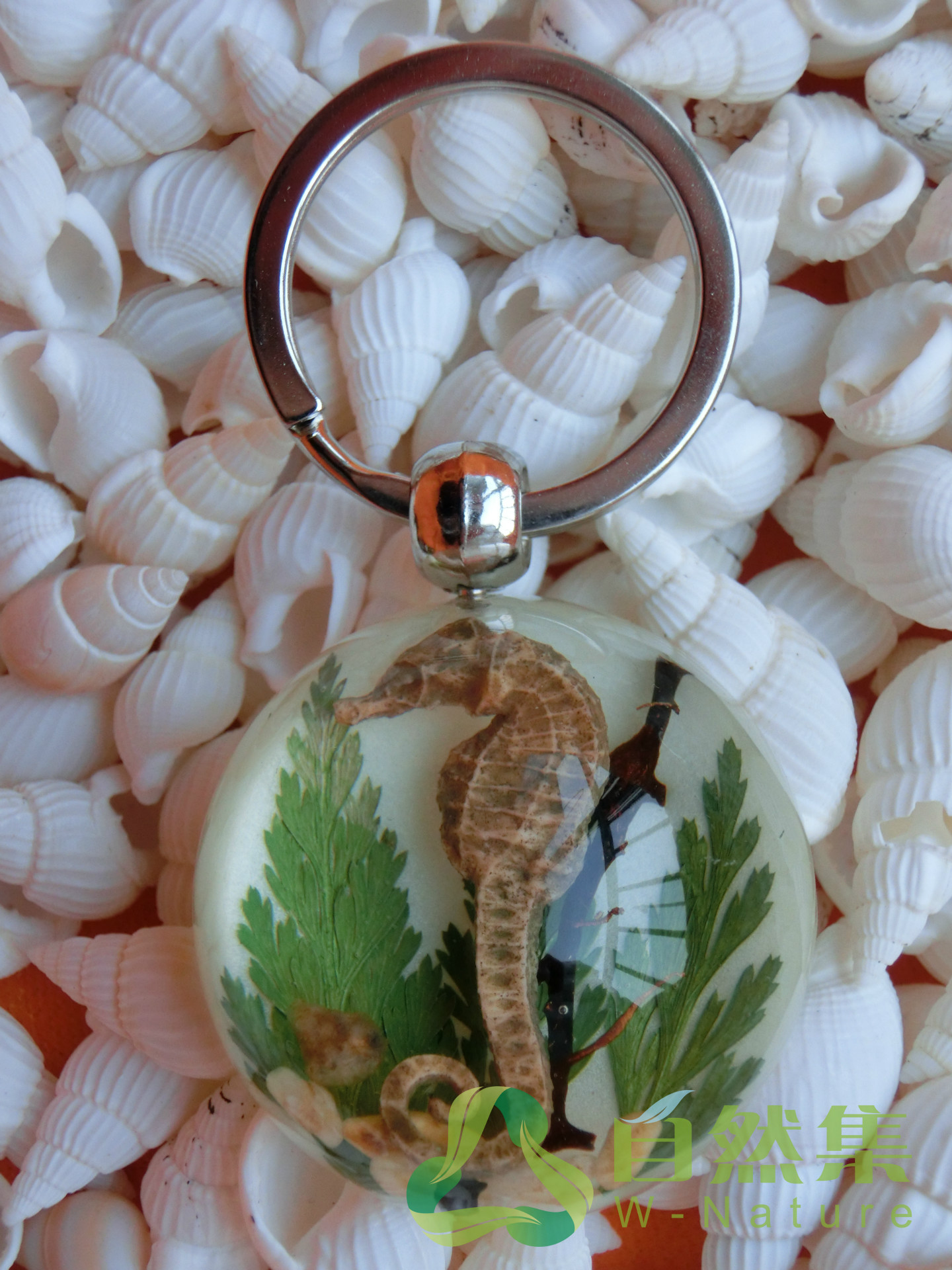 海洋海马水晶滴胶琥珀半圆钥匙扣旅游纪念品礼品工艺品个性定制