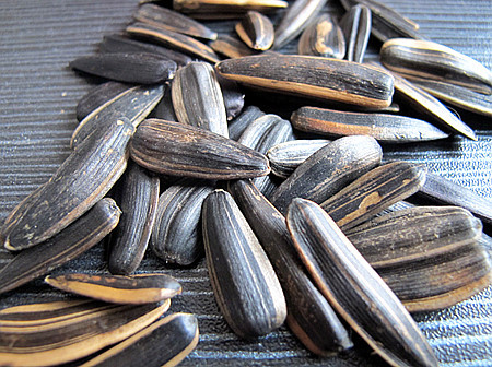 东北特产大瓜子香瓜子批发 精选葵花籽小包装休闲散装零食品