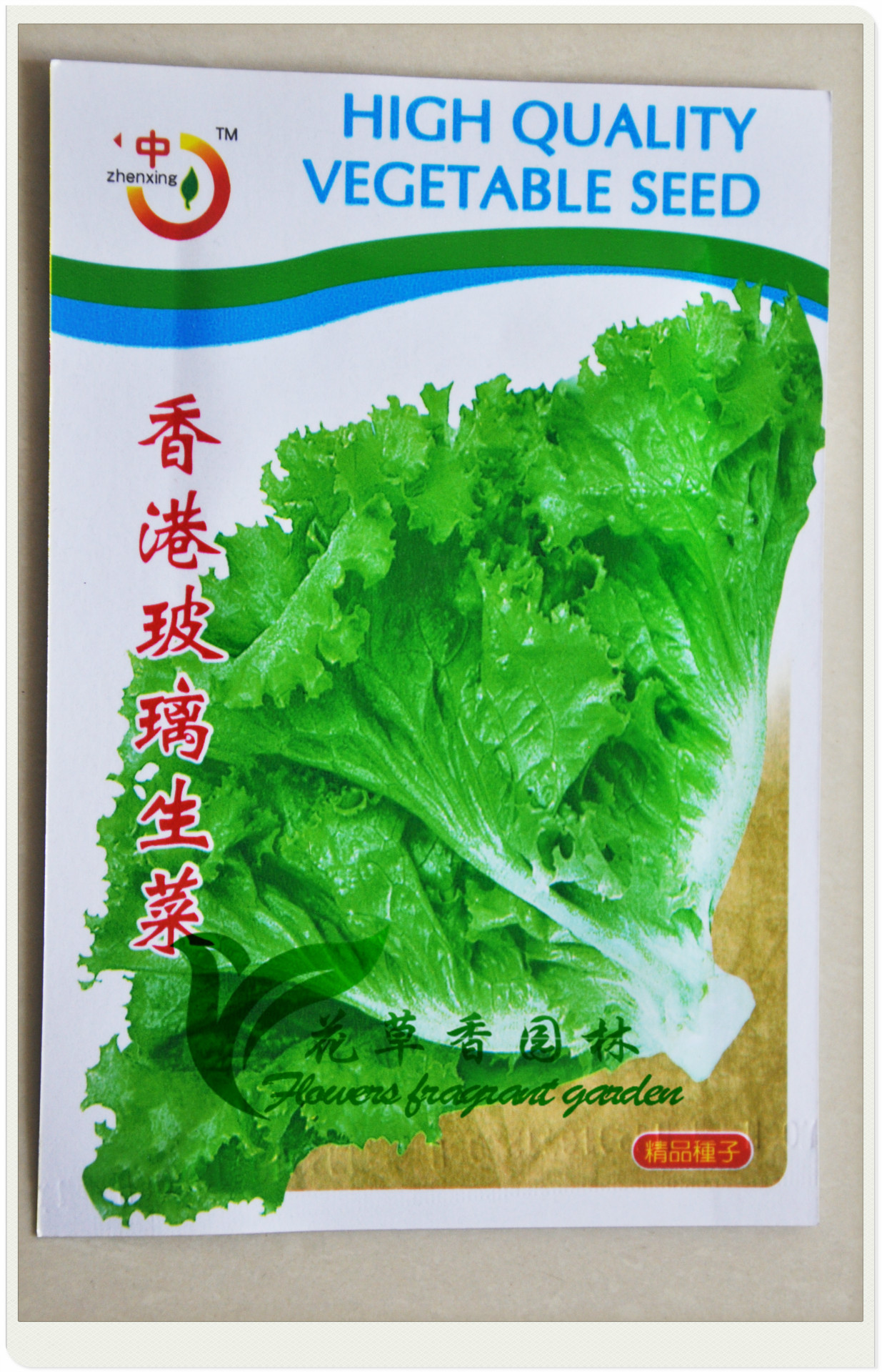 今年热卖新种子 生菜 红生菜 绿生菜 生菜种子 批发