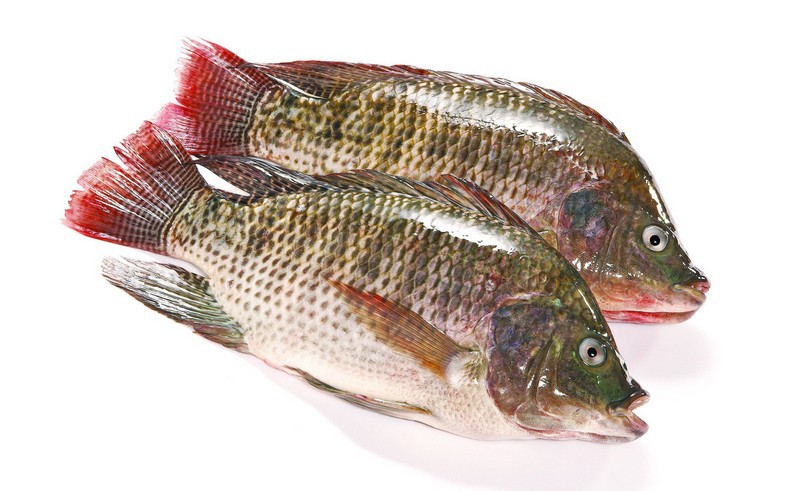 江西厂家生产 富硒鱼 欢迎选购 健康好品质