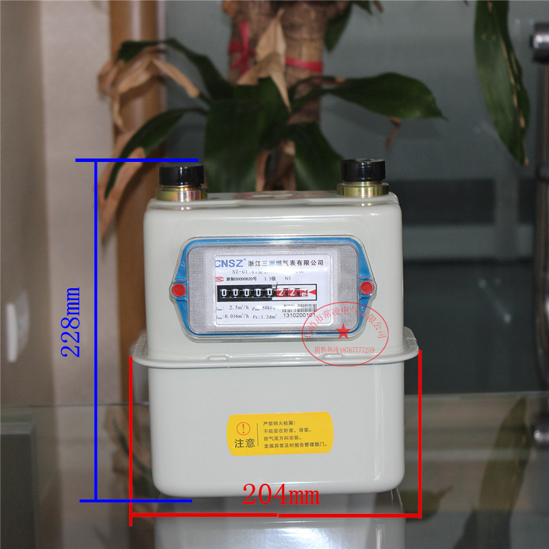 15年的專業品牌三洲 鋼殼家用膜式燃氣表 煤氣表 g1.6t圖片_3